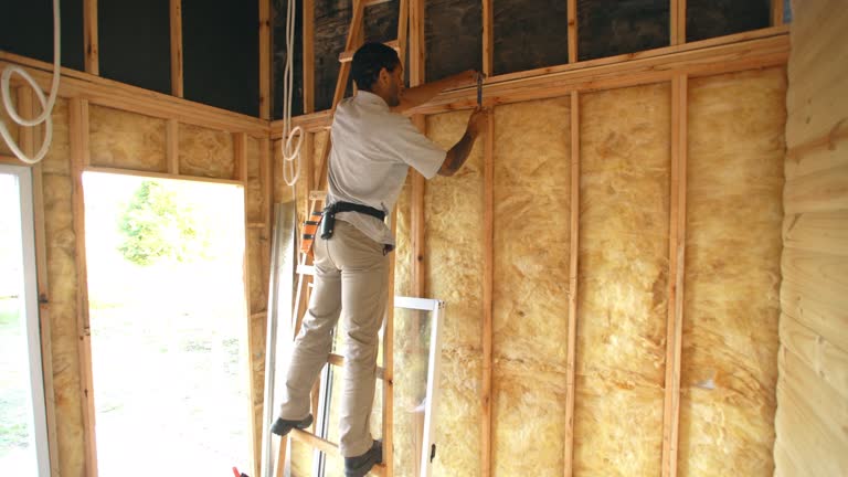 Best Basement Insulation  in Kilauea, HI